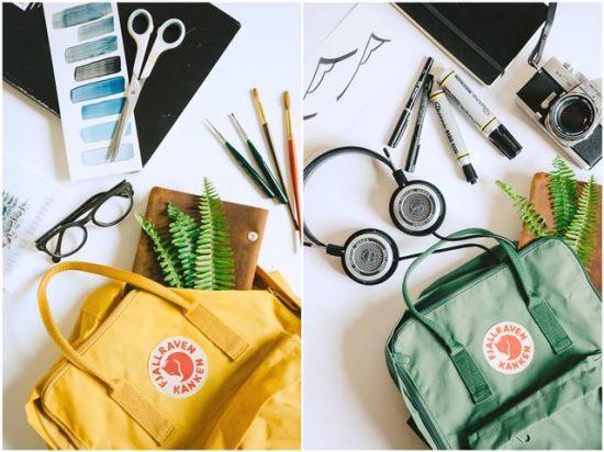 Fjallraven北极狐