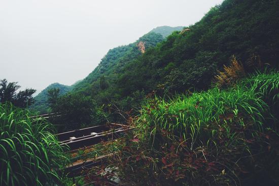 在餐厅的露台可以眺望远近的群山