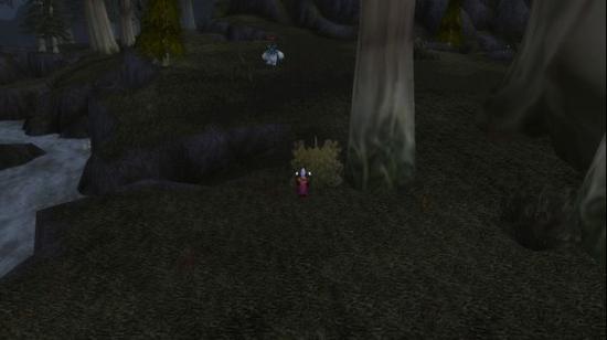 咕咕去哪儿?魔兽世界版荒野求生之枭兽守护者