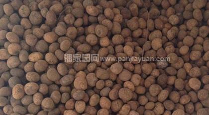 星月菩提降价了 还会继续降吗?