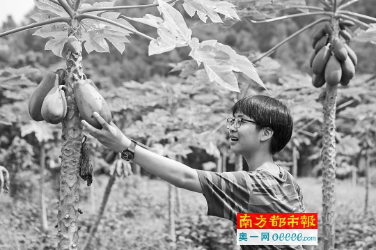 学生摸着成熟的果实,感受到劳动的喜悦。
