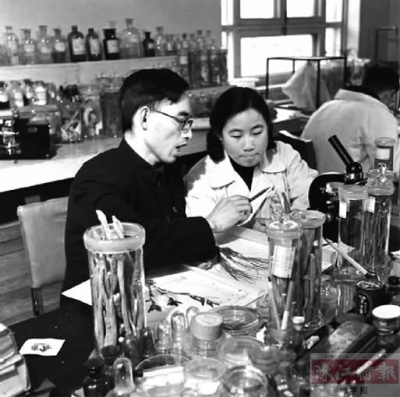 0年代,在中医研究院中药研究所任研究实习员的