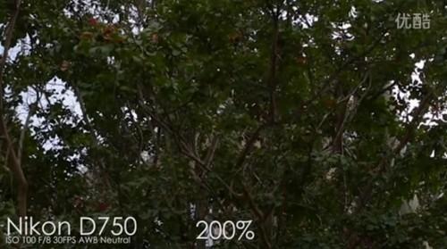 iPhone 6s已逆天 4K视频吊打尼康D750第3张图