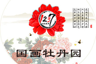 1237國花牡丹