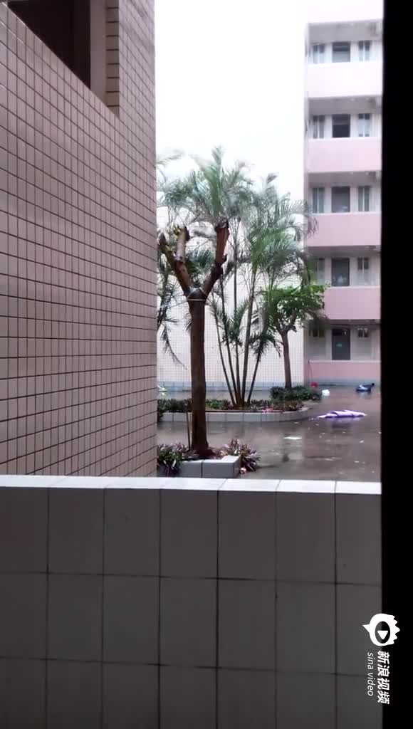 台风过境