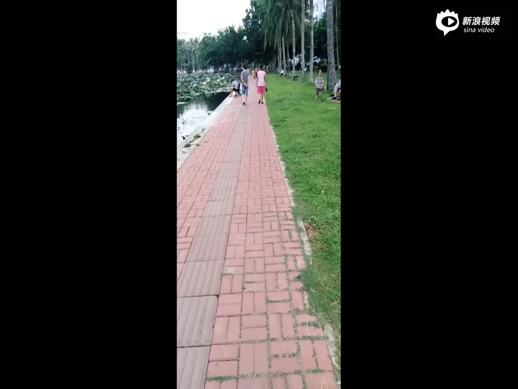 不一样的海口-石江娜