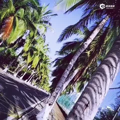 海大阳光-桑杰玉珍