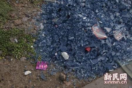 上海一大巴侧翻44名秋游小学生都为轻微伤(图)