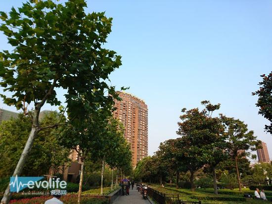 和iPhone 6s比拍照 索尼Xperia Z5初上手|索尼