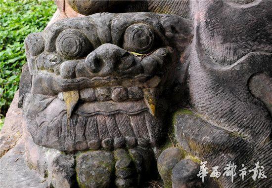 图片版权归原作者所有