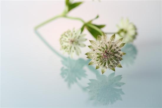 佳能EOS M10领衔 APS-C入门微单该选谁|佳能