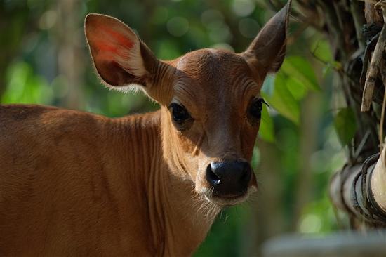 佳能EOS M10领衔 APS-C入门微单该选谁|佳能