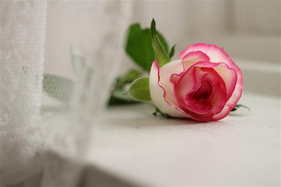 佳能EOS M10领衔 APS-C入门微单该选谁|佳能