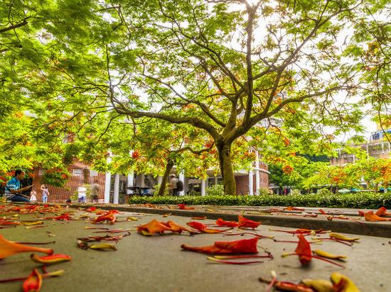 光摄影的魔性效果 关于HDR的一些事一些情|拍