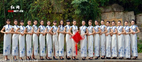 (拍照的女生是参加中南林科大校园风尚礼模大赛进入决赛的选手。图为她们身着旗袍,手持中国结。)