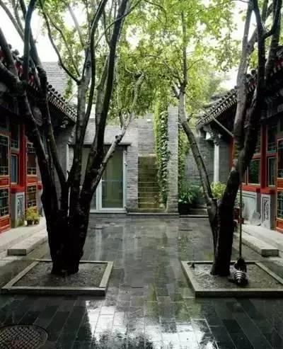 冯唐的后海院子