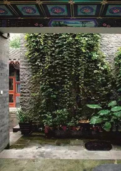 冯唐对于居住的要求看似简单