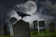 互联网能否席卷殡葬业？