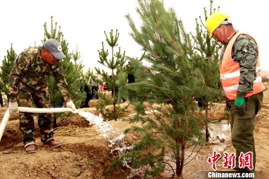 图为园林人员给新栽的树苗浇水。 张添福 摄