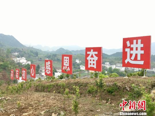 贵州省铜仁市思南县塘头镇青杠坝村。 杨云 摄