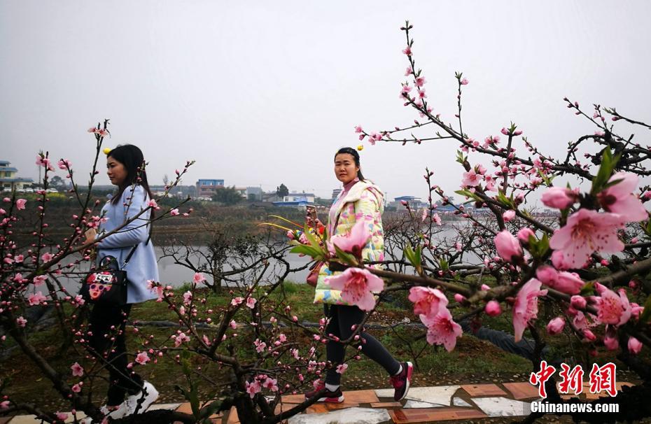 中国美女剃陰毛
