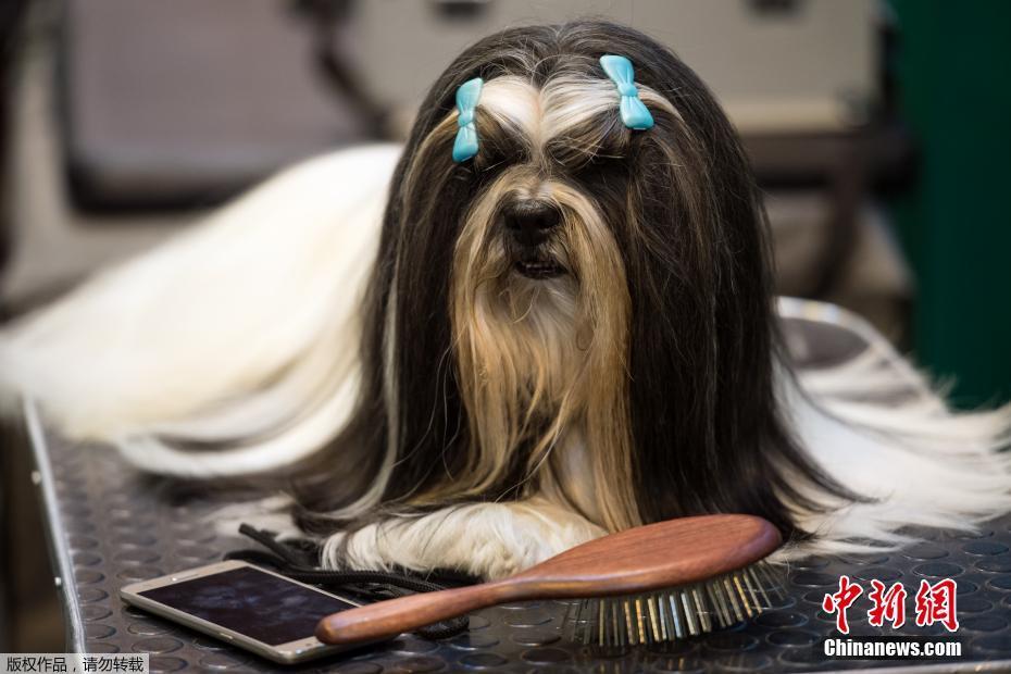 八重神子被丘丘人抓去繁殖后代的软件