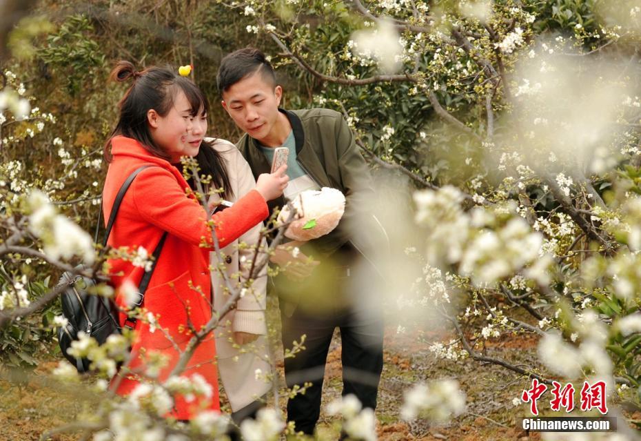 亚洲一级毛片刘亦菲