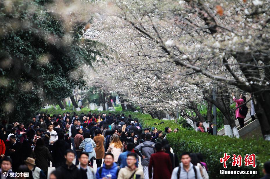 黄色网站链接入口