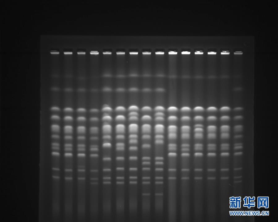 韓國深夜節目
