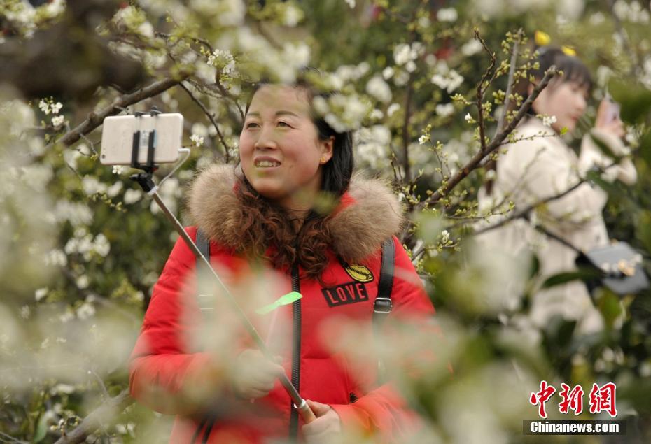 黄色免费网站软件