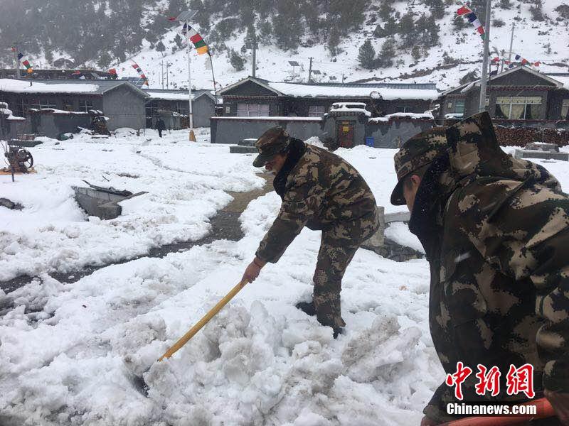 大鮑魚