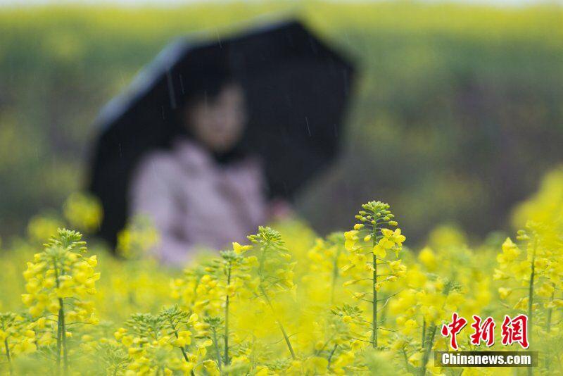 荻野舞