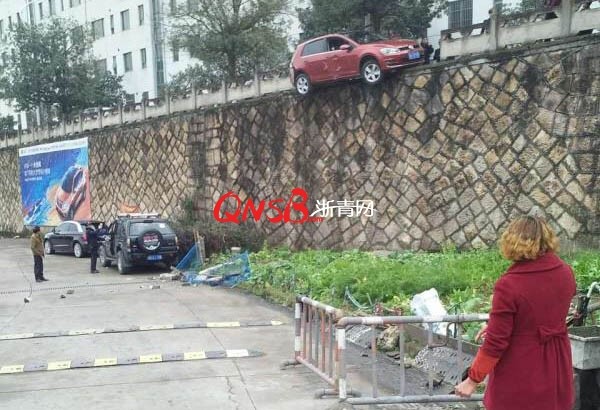 李丽珍1级黄色视频