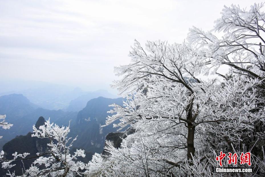 露點走光