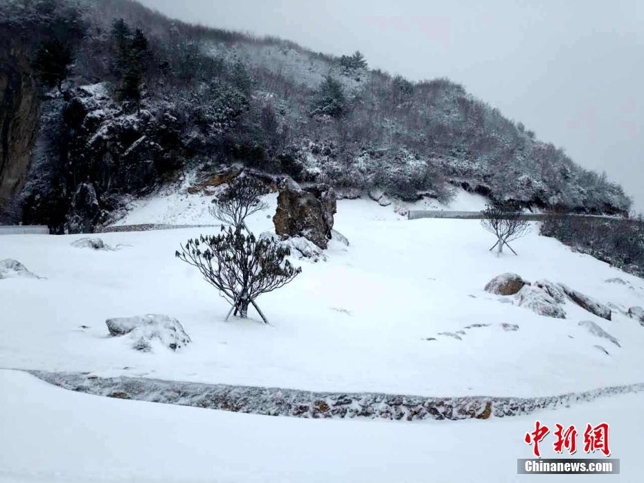 Chinese Hd Av Free