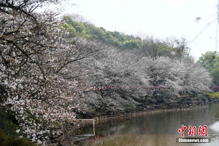 韩漫色色图
