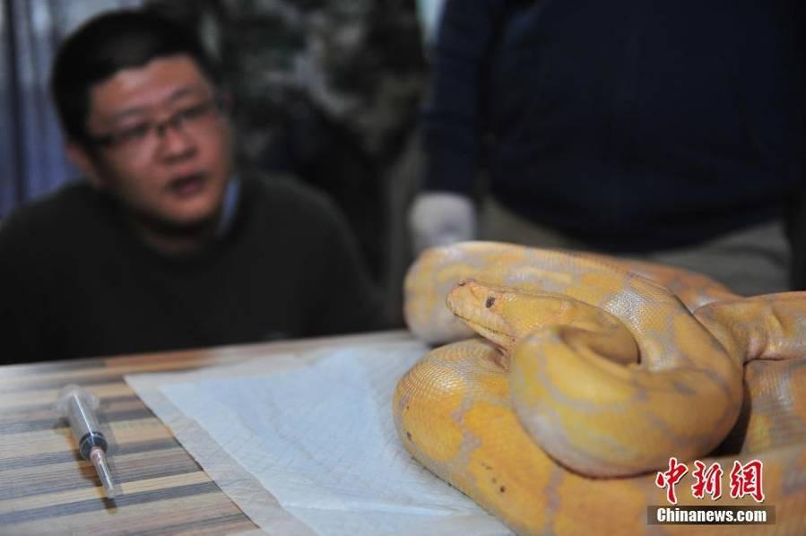 东莞四哥