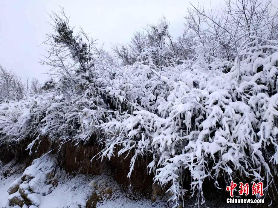 免费看日韩A片无码视频软件