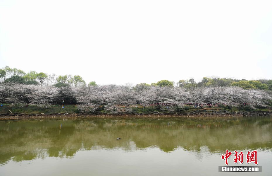 色戒35分钟