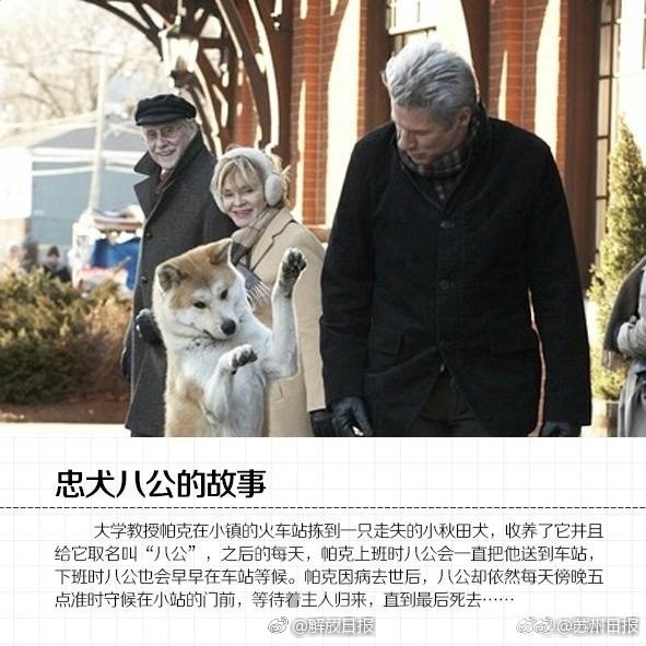 黄色 Av 在线 观看