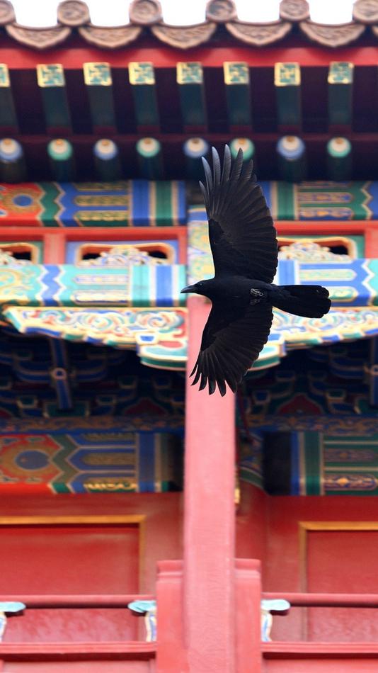 荻野舞