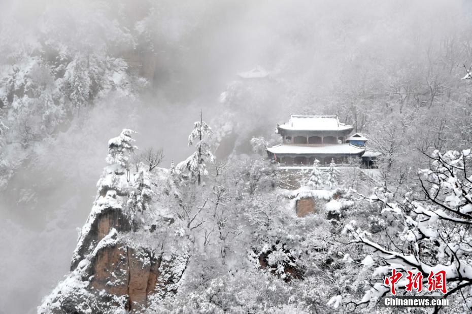 苹果直播
