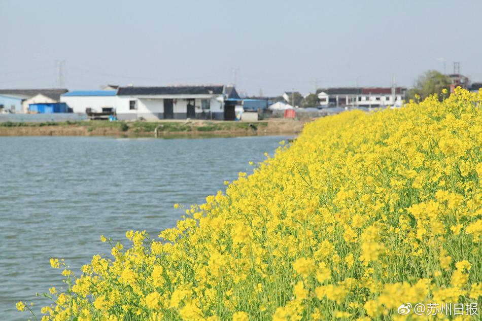 91香蕉视频污