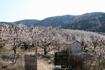 夫妻性生活片一级黄色录像