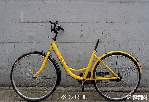 18禁网站