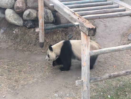 一级毛片免费