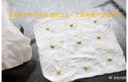 性愛瑜珈