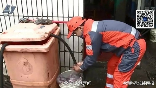 裸体直播视屏