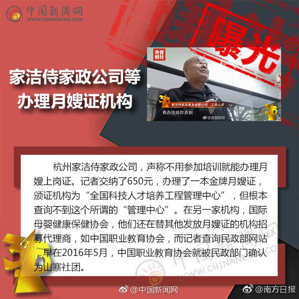 狂野少女免费完整版在线观看