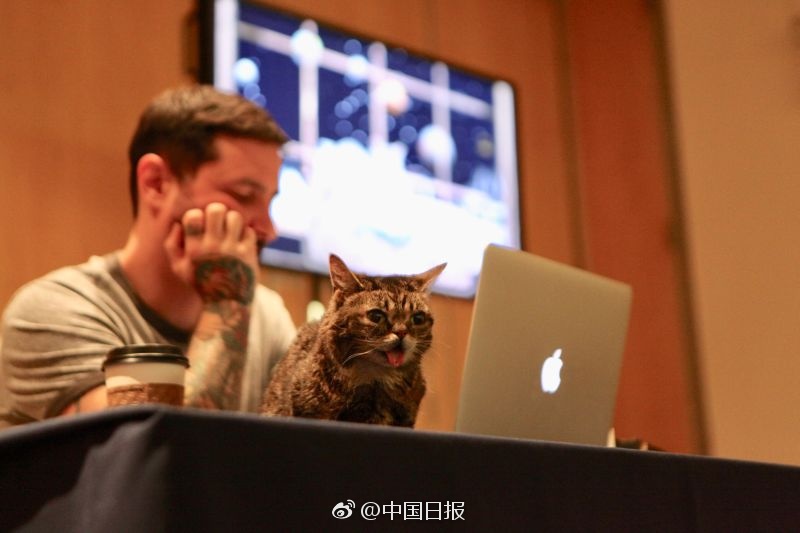 打屁股 网站脱裤子打屁股